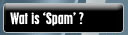 Wat is 'spam' ?